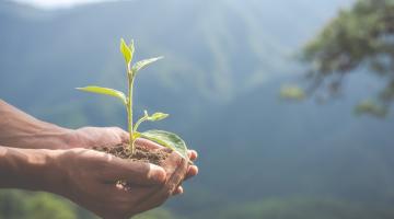 A pair of cupped hands cradling a sapling, growing from a small mound of soil. In the background is a lush green mountain with a clear sky above.