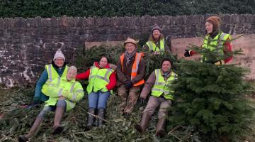 Seven members of the Marldon Community Composting Group collecting Christmas trees to compost.