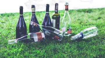 eight empty wine bottles on grass with three fallen over